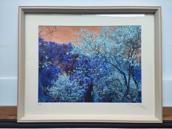 (FRAMED) Nature and Seasons