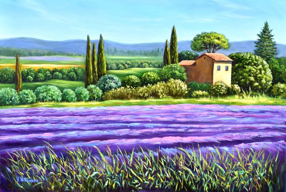 Summer in Provence