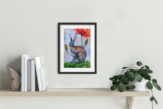 Rabbit In Poppy Flower Field (small)