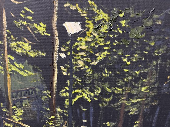 Midnight over the Forest Bridge