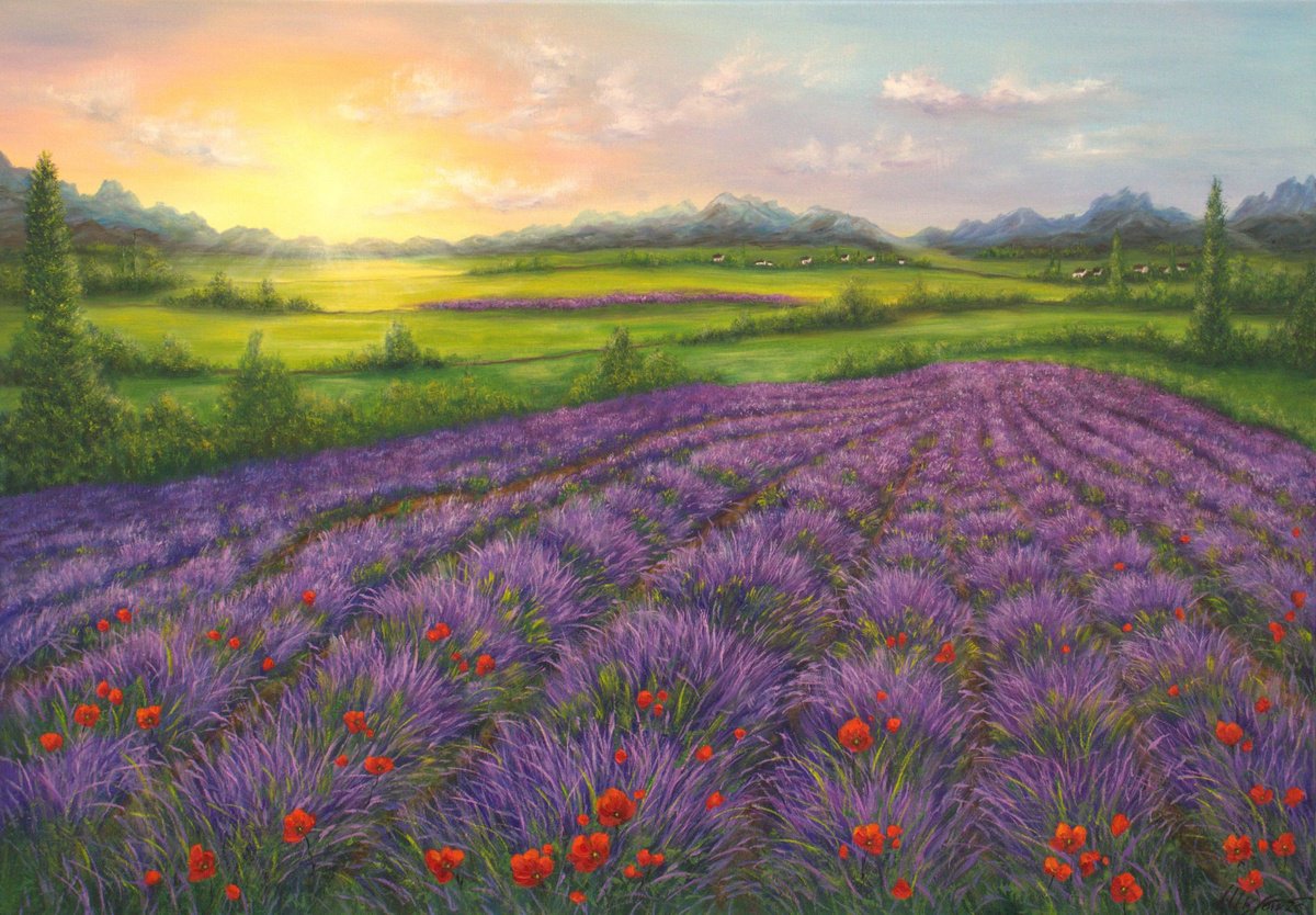 Photorealistic Oil Painting , Lavender Field By Ludmilla Ukrow, 39 X 28, Artwork For Sale On Artfinder