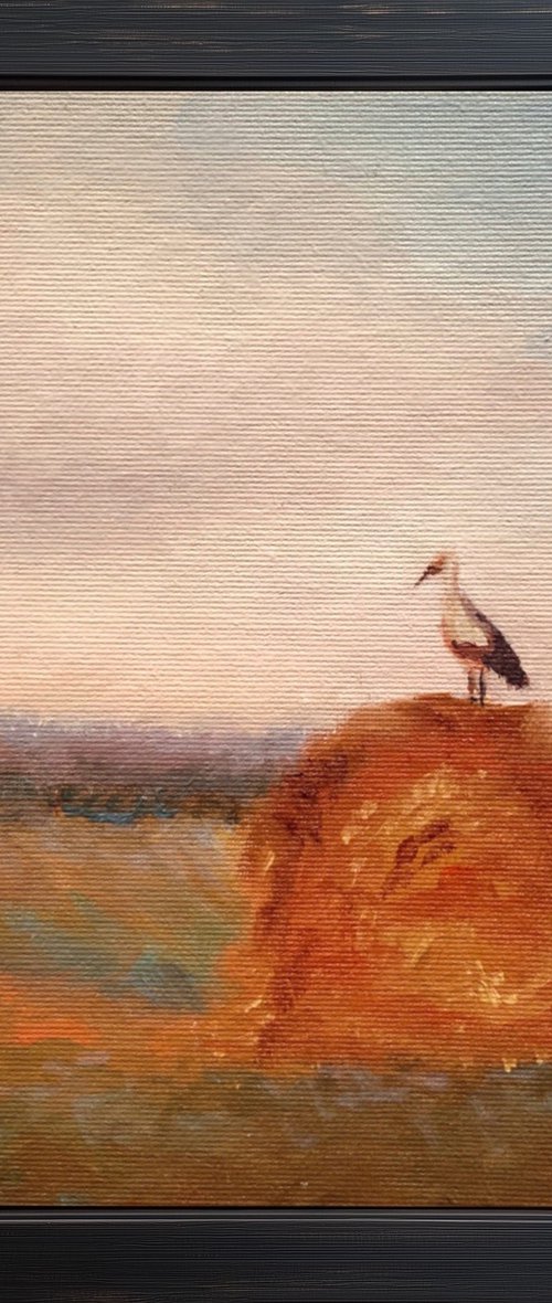 Stork on a haystack, in frame by Alena Post