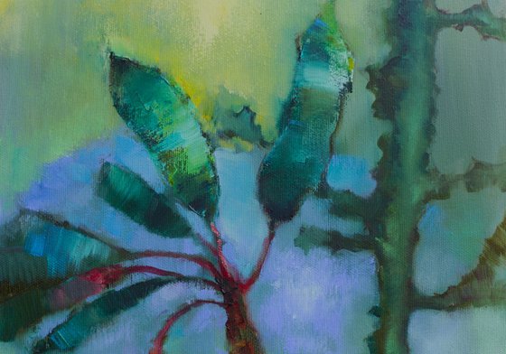 Cactus on a green background