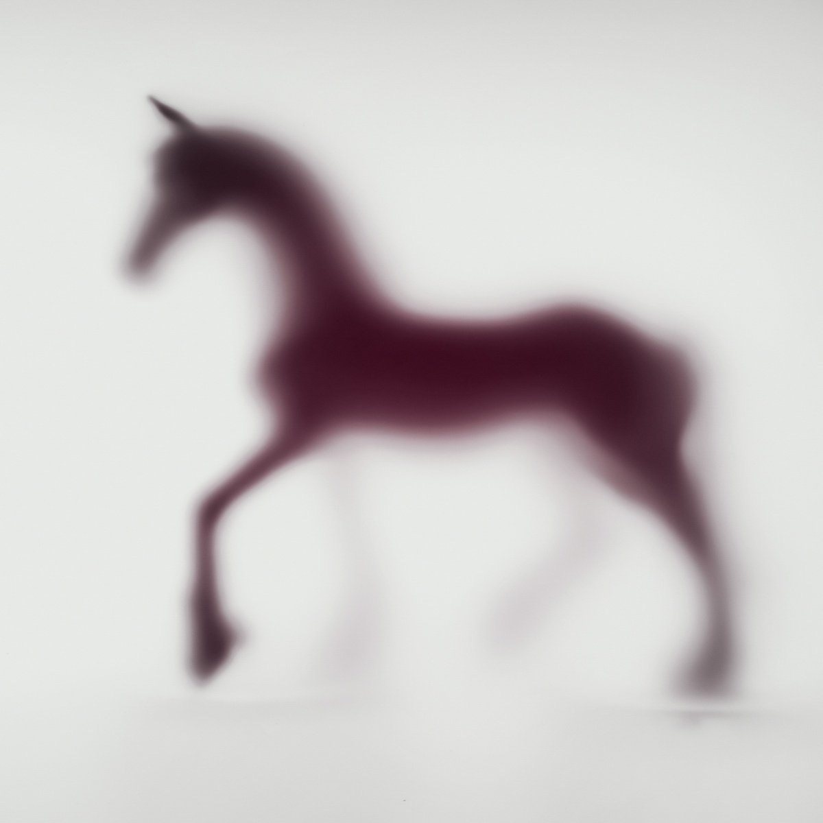 Abstract Animal Photograph By Sven Pfrommer, 39 X 39", Wild Lens - Horse Xix, Original Artwork