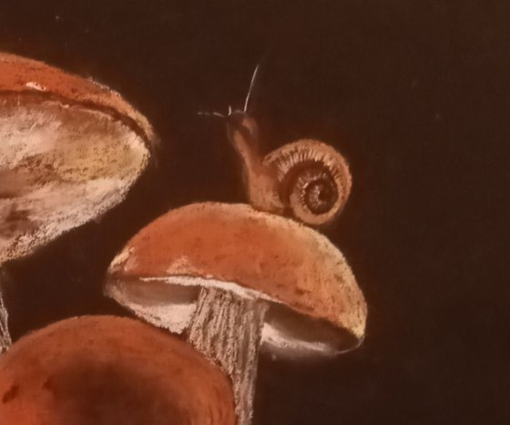 Family of mushrooms at Dusk