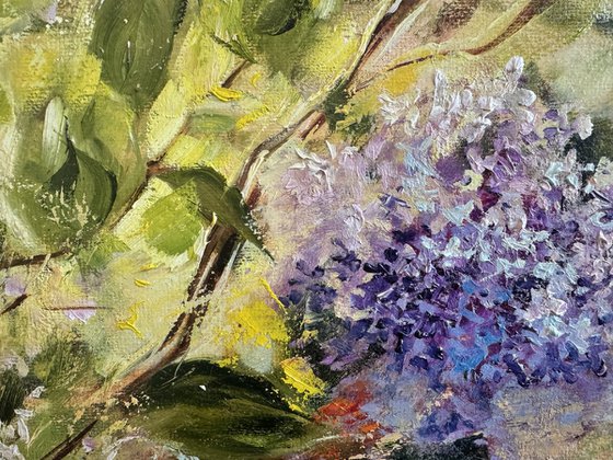 In the Spring Sunshine