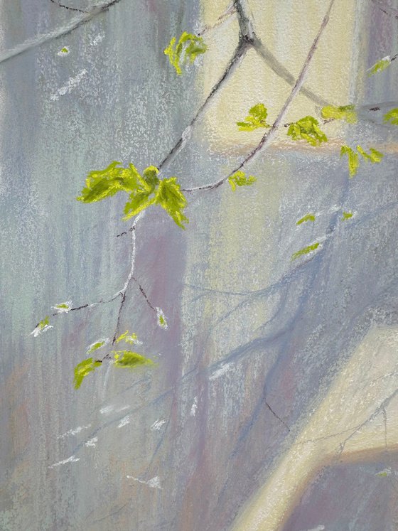 Linden. Overwintered