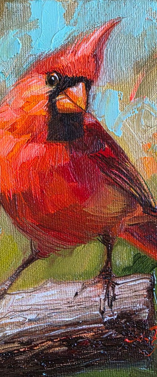 Cardinal bird by Nataly Derevyanko