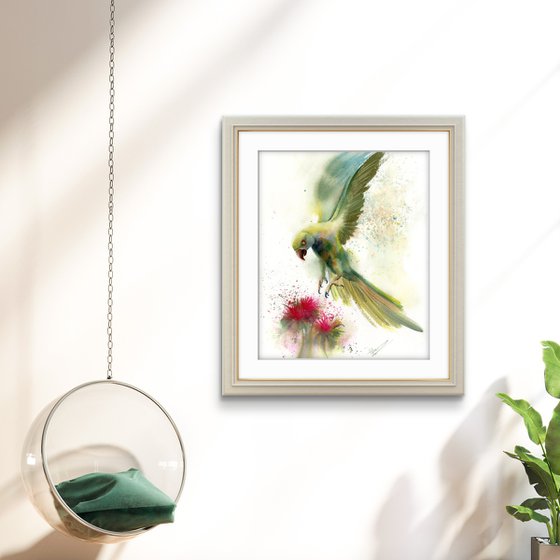 Tropical Parrot in Flight
