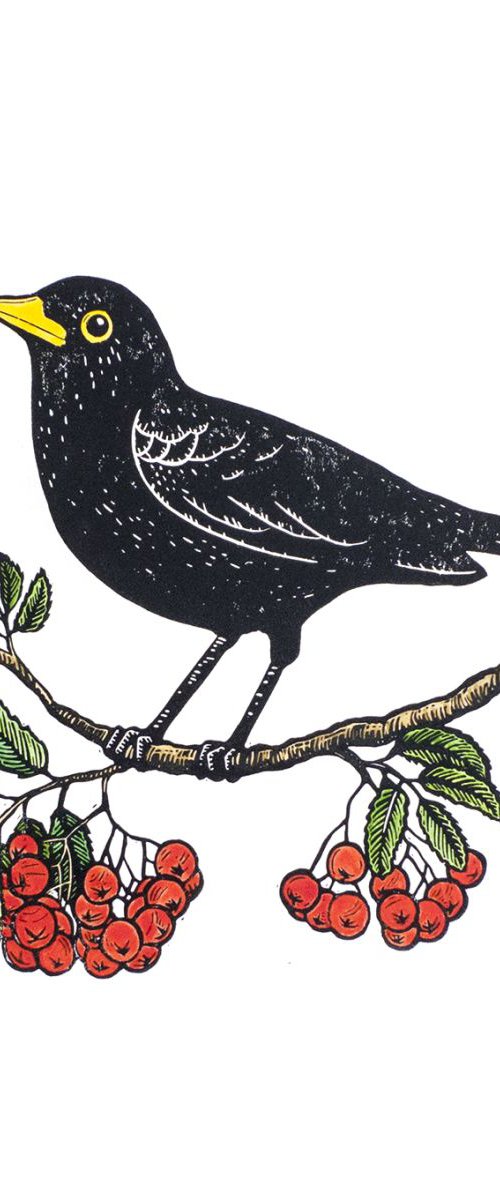 Blackbird & Rowanberries, original hand-colored linocut by Tian Gan
