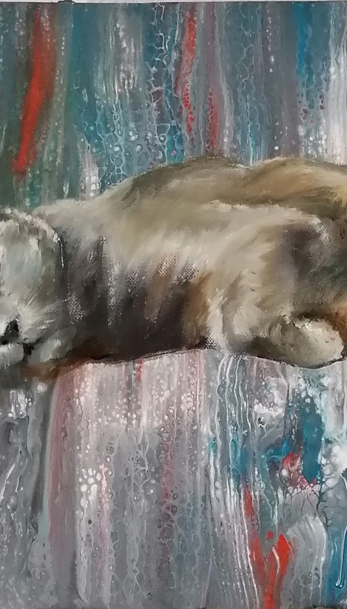 Portrait of a grey cat by Susana Z. Harris