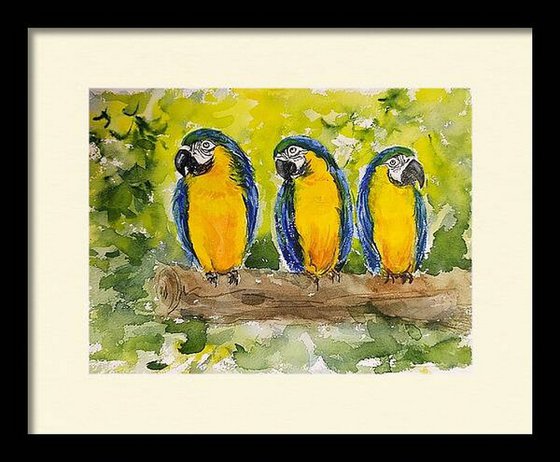 Set of two- Parakeets and Robins