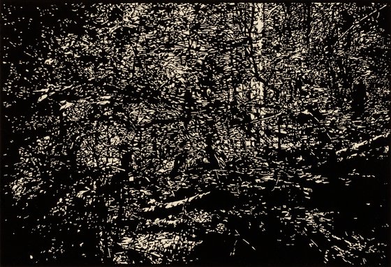 FIRST MEADOW