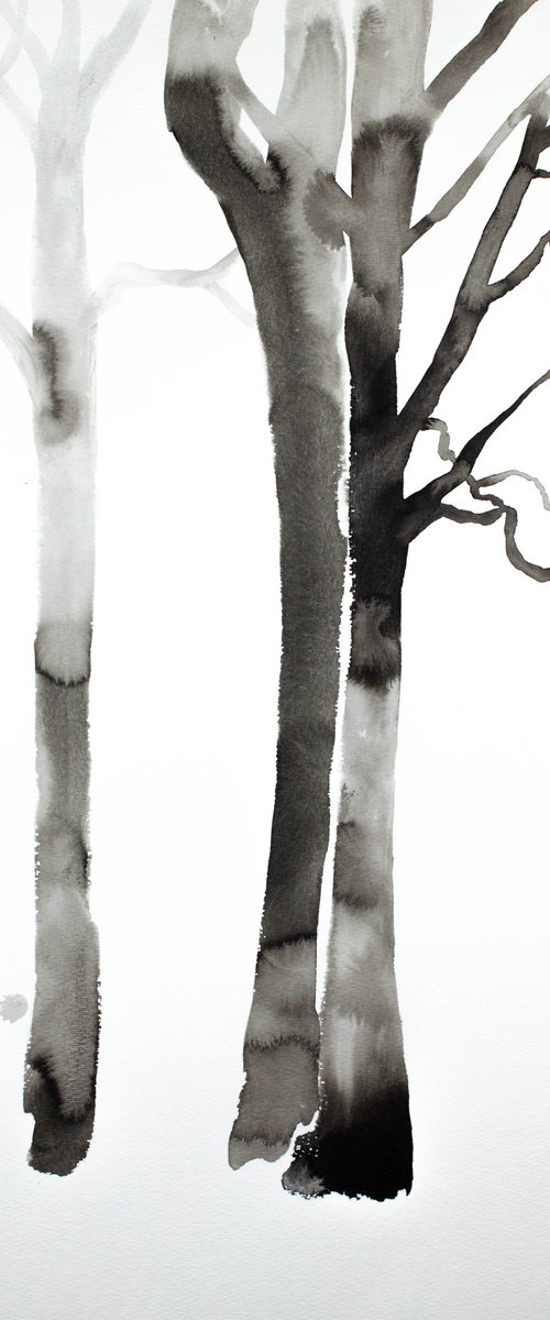 Barren No. 13 by Elizabeth Becker