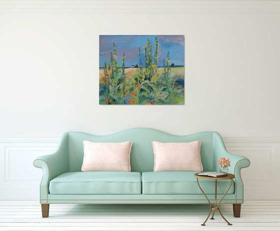 Verbascum
