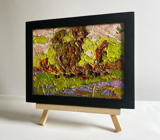 Lush meadows behind