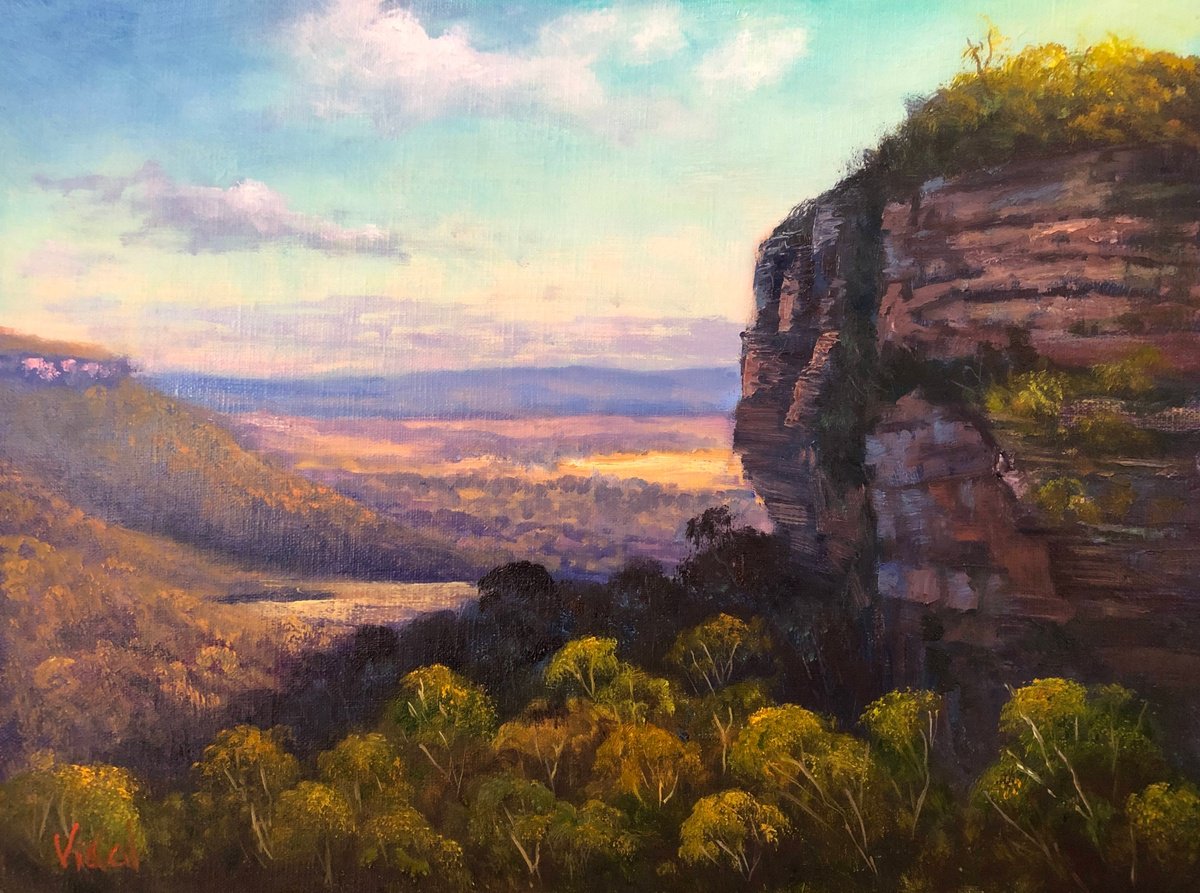 Afternoon shadows at Blackheath, Blue Mountains, NSW by Christopher Vidal