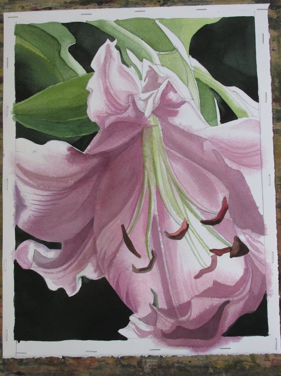 spring lily watercolor floral