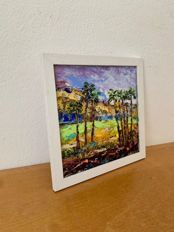 Palm Springs landscape