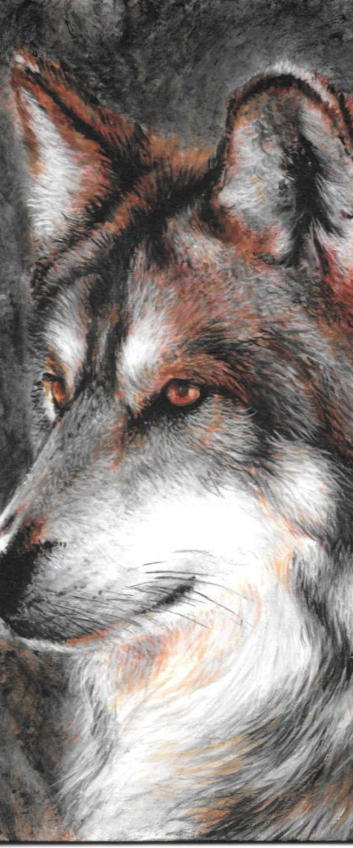 Grey Wolf by Lauren Bissell