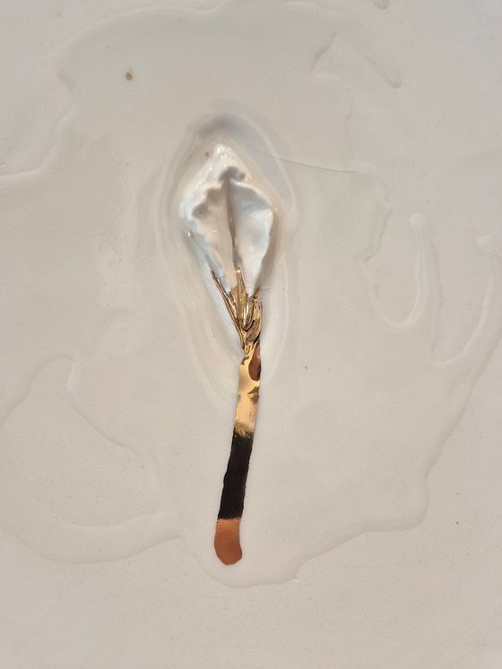 "Vulva Hypnotica XIII"