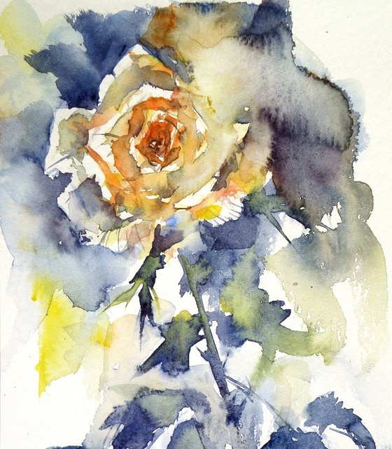 Yellow rose II