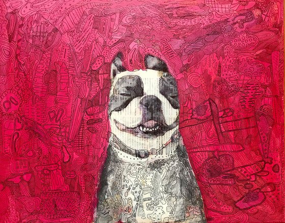 Happiness for dog