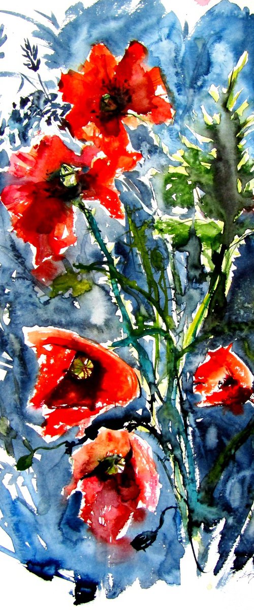 Wild poppies by Kovács Anna Brigitta