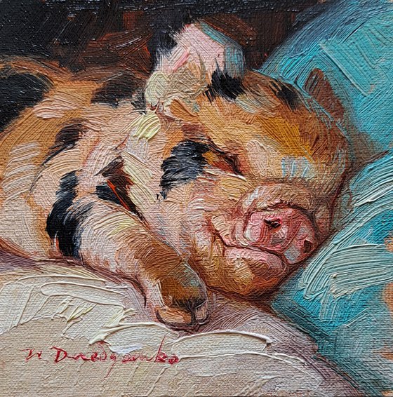 Pig