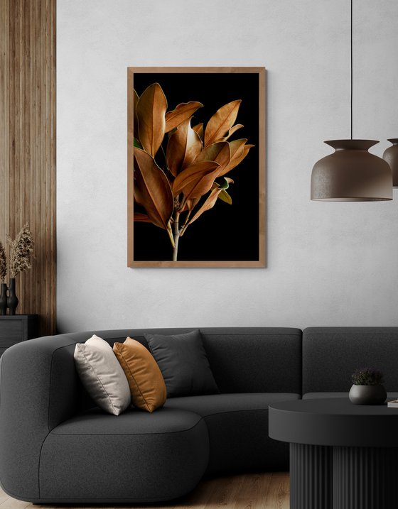 Magnolia Leaves