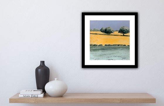 Summer Fields