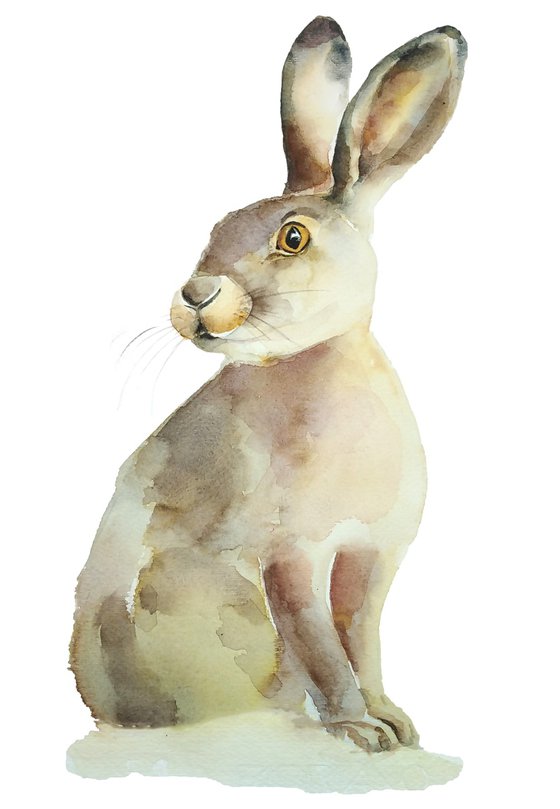 Hare woodland animal, Rabbit, watercolor illustration