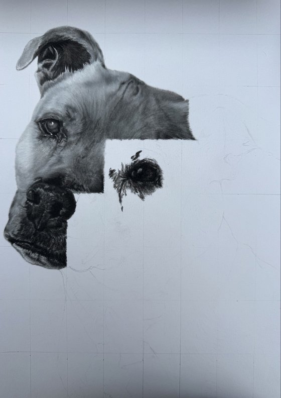 Commissioned Pet Portrait A3 (297 × 420 mm)