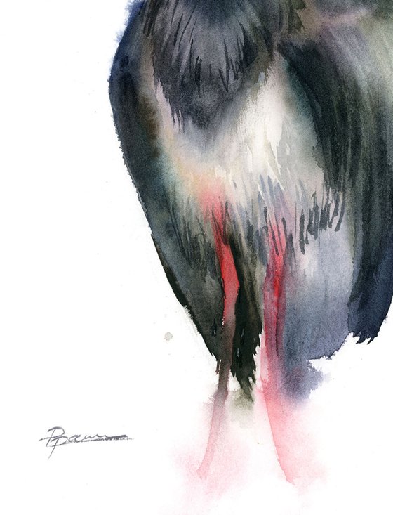 Black heron