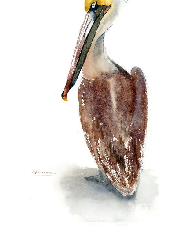 Brown Pelican (2 ) -  Original Watercolor Painting