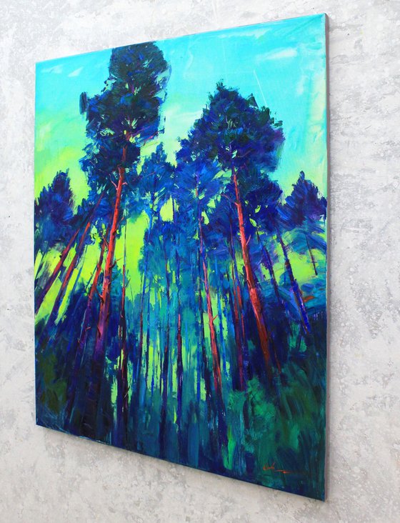 Pine Forest