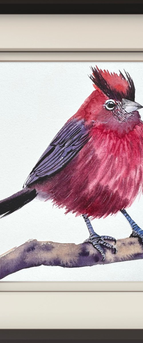 Red pileated finch Bird by Yuliia Sharapova