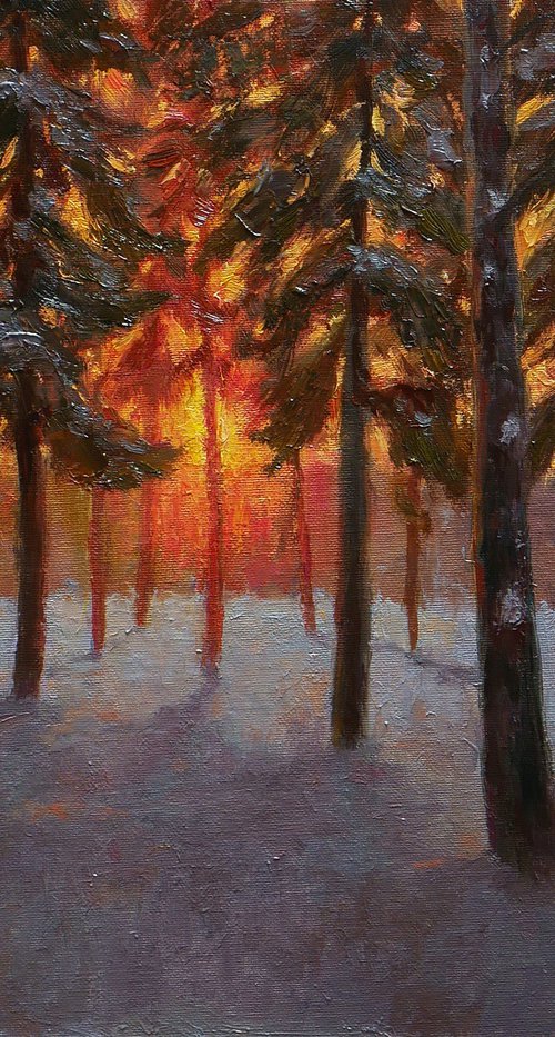 Sunset In The Pine Forest - sunny winter painting by Nikolay Dmitriev