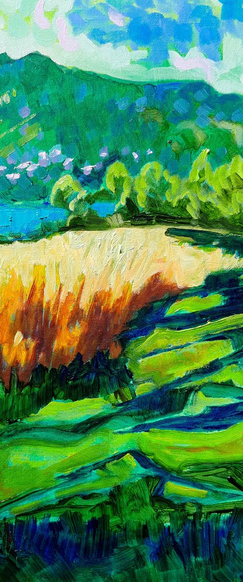 Summer Shadows by Mary Kemp