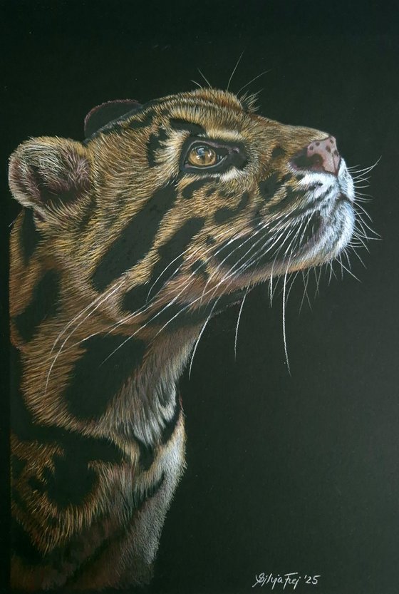 Wild Spirit
