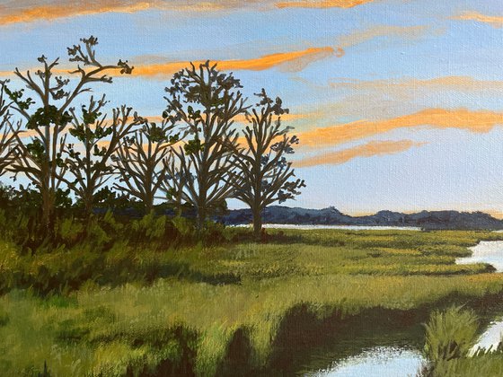 Marshland