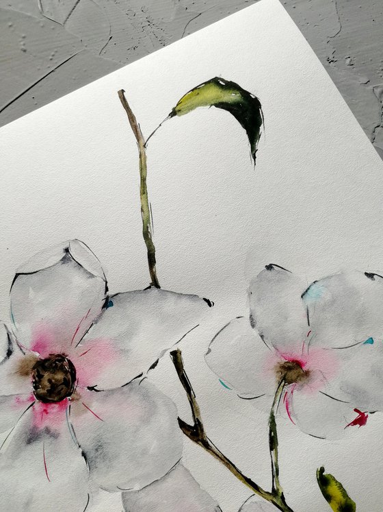 Magnolia painting. Blossoms painting