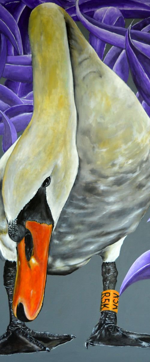 swan 4 by antonio maggio carluccio