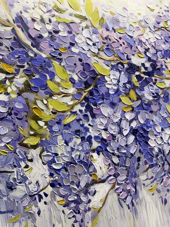 Wisteria