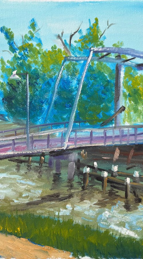 The drawbridge over canal by Dmitry Fedorov