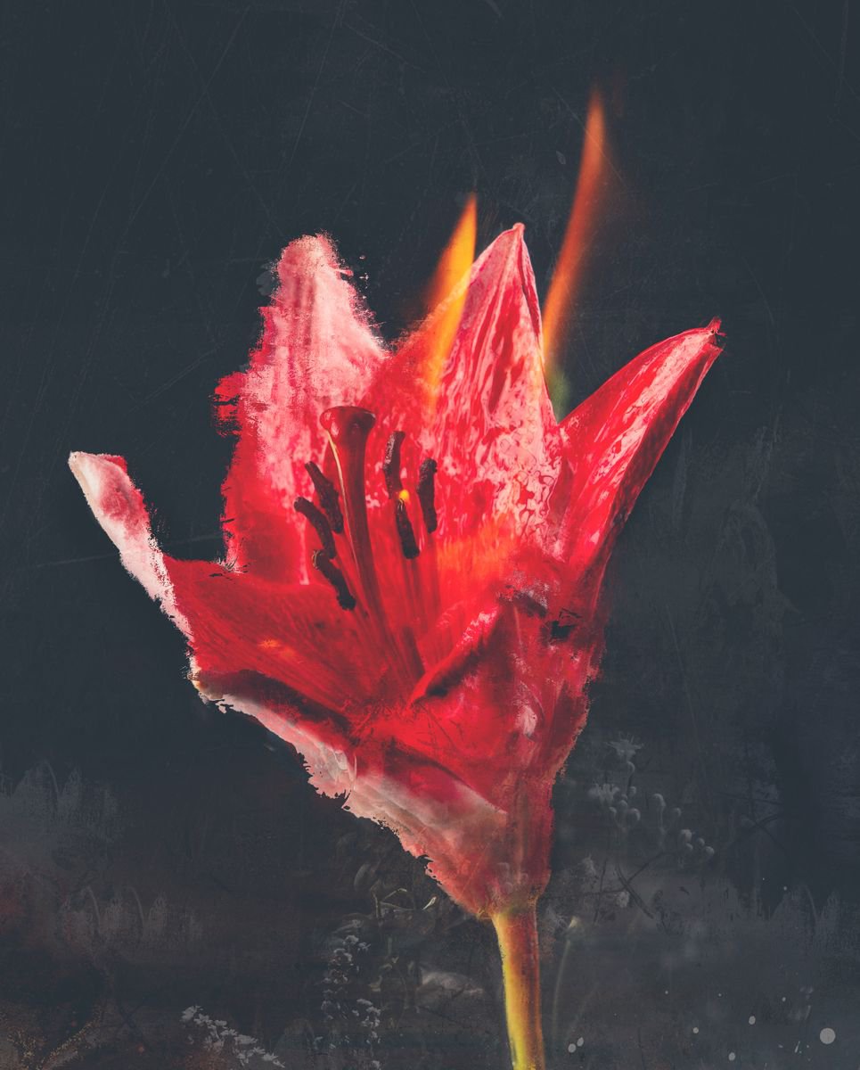 Botanical Painting By Teis Albers, 39 X 47", Combust, Original Artwork