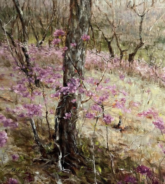 SPRING IN THE FOREST
