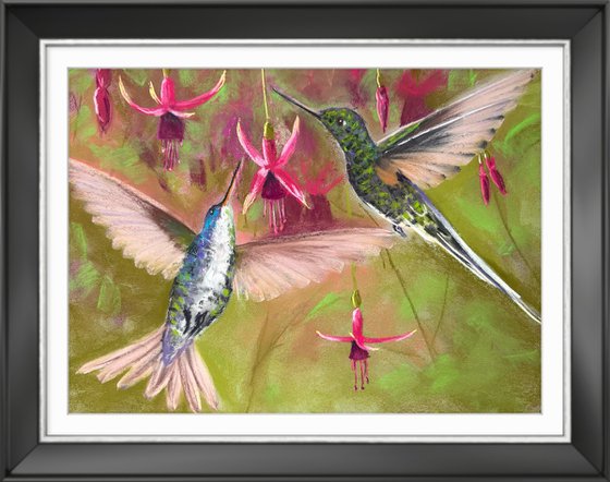 Colibri in flight. Flying