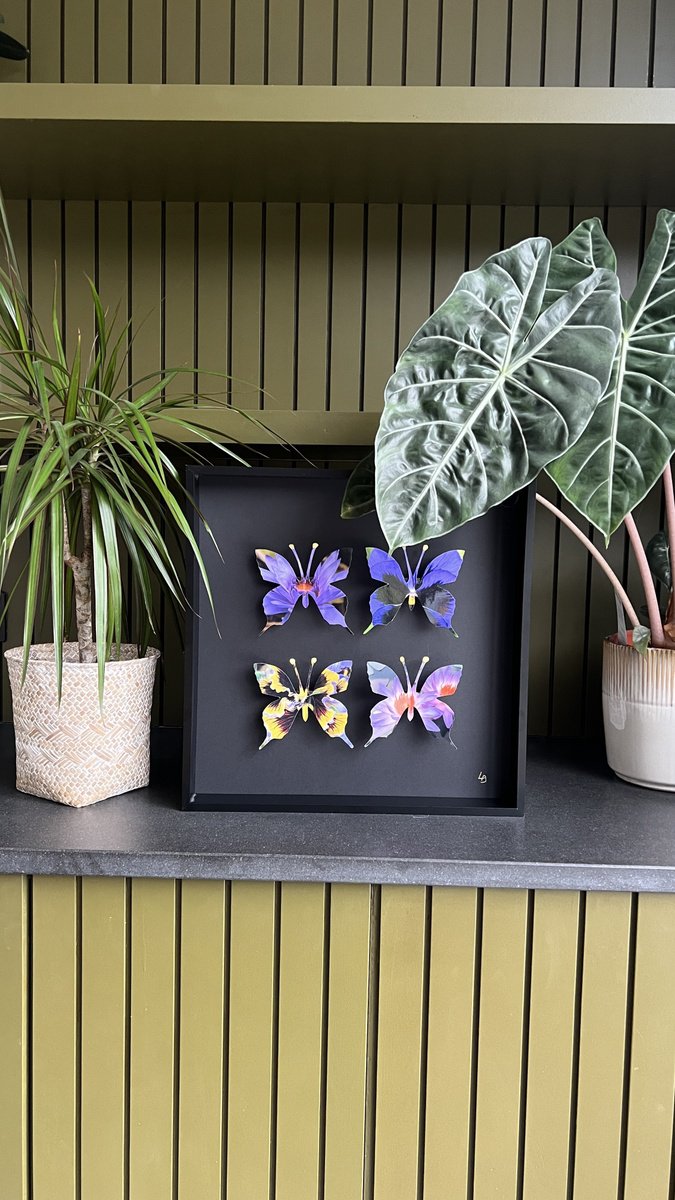 Botanical Relief By Lorna Doyan, 16 X 16", Flower Butterfly Box, Original Artwork