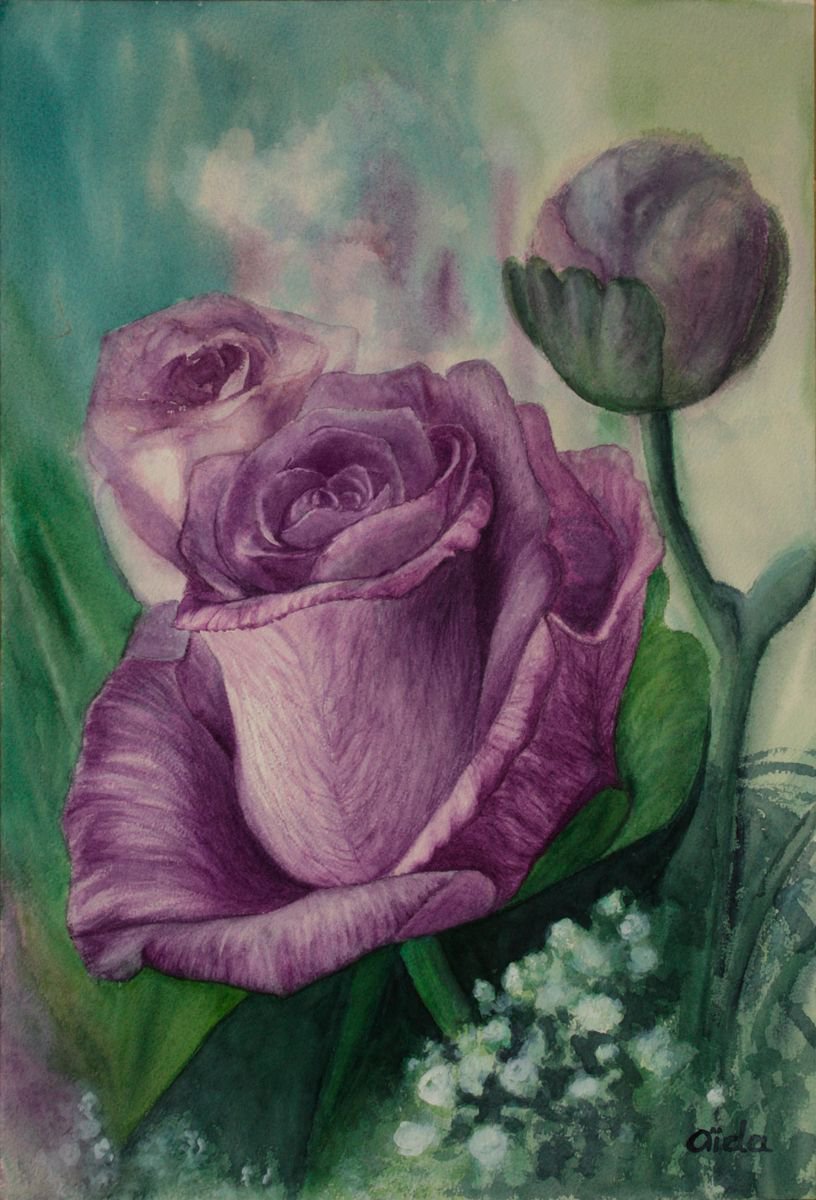 Violet rose by Aida Taha